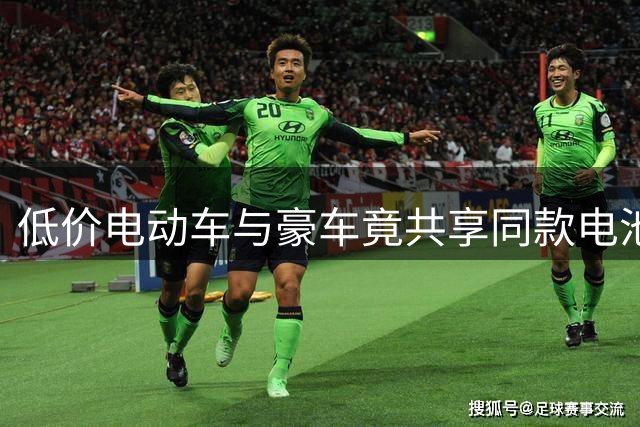 低价电动车与豪车竟共享同款电池安全标准？行业真相揭秘